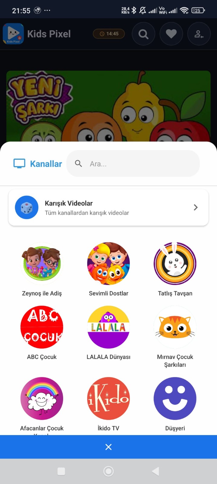 Kategori ve Kanal Yönetimi